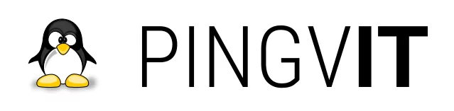 pingv.it Healthcheck
